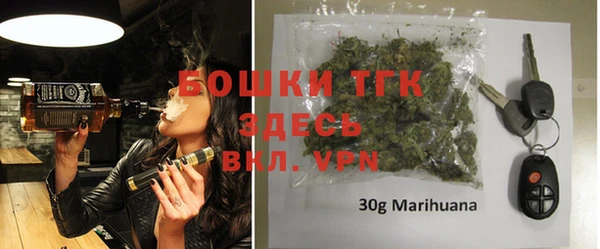 индика Балахна