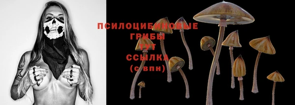 прущая мука Баксан