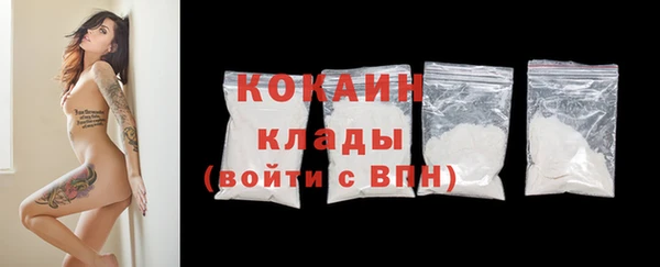 индика Балахна