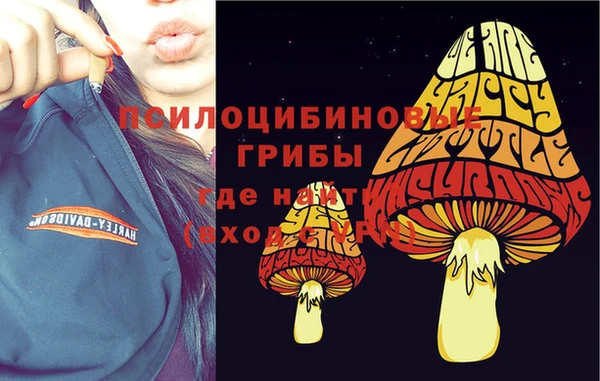 индика Балахна