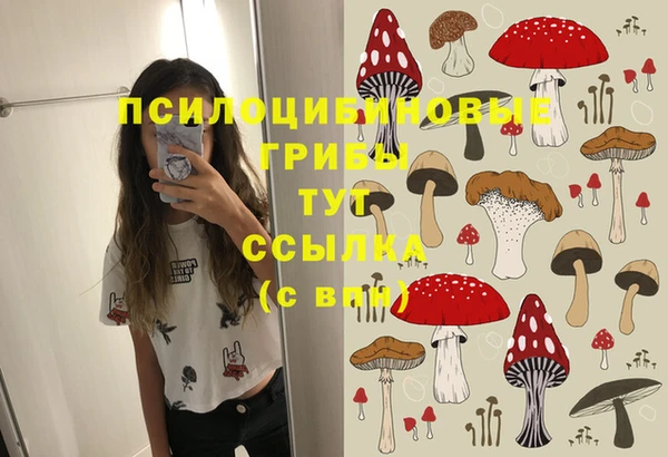 индика Балахна